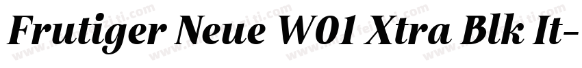 Frutiger Neue W01 Xtra Blk It字体转换